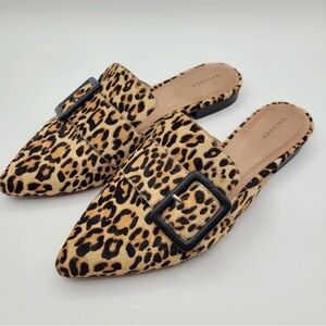 Halogen Leopard Print Mules with Black Buckle